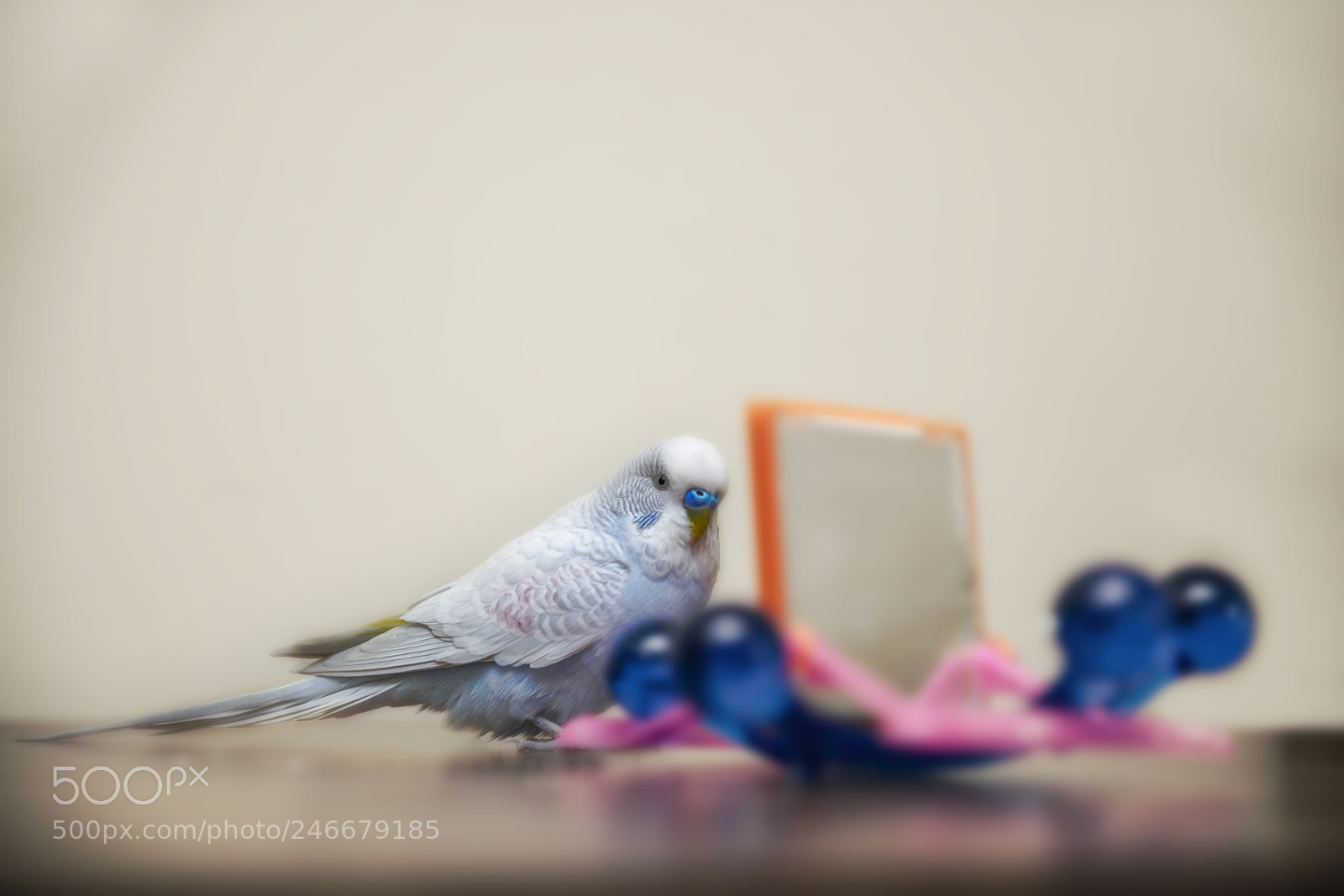 Sony a7R II sample photo. Maviş photography