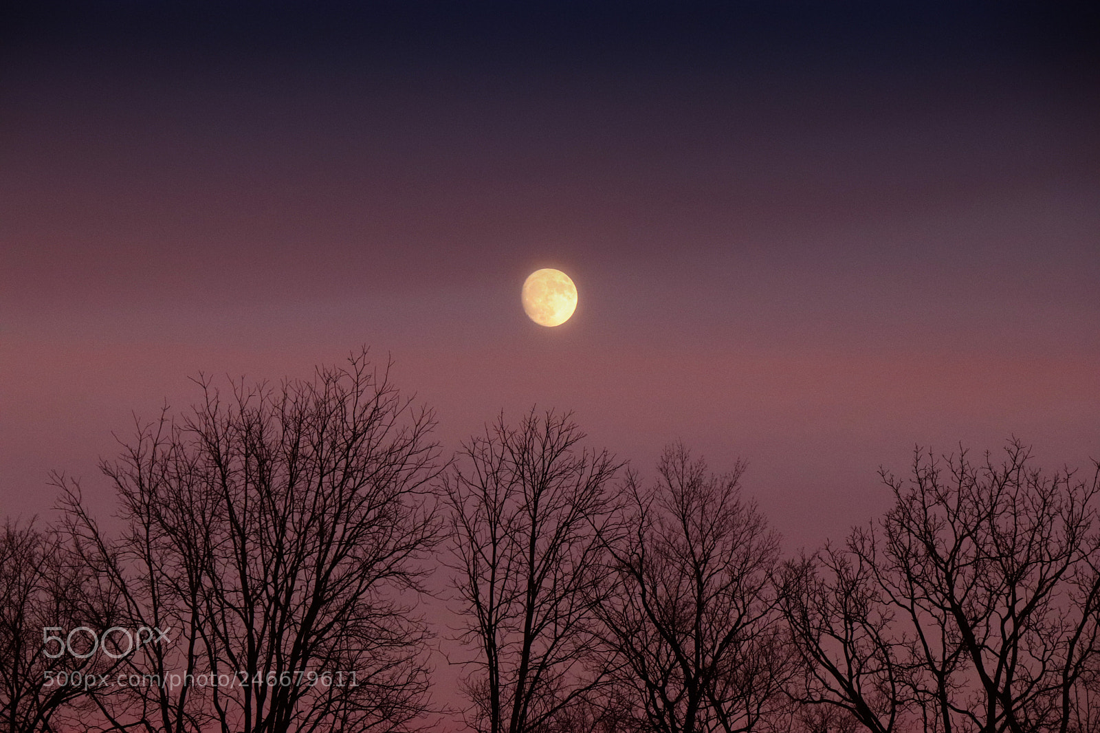 Canon EOS 77D (EOS 9000D / EOS 770D) sample photo. Reach for the moon photography