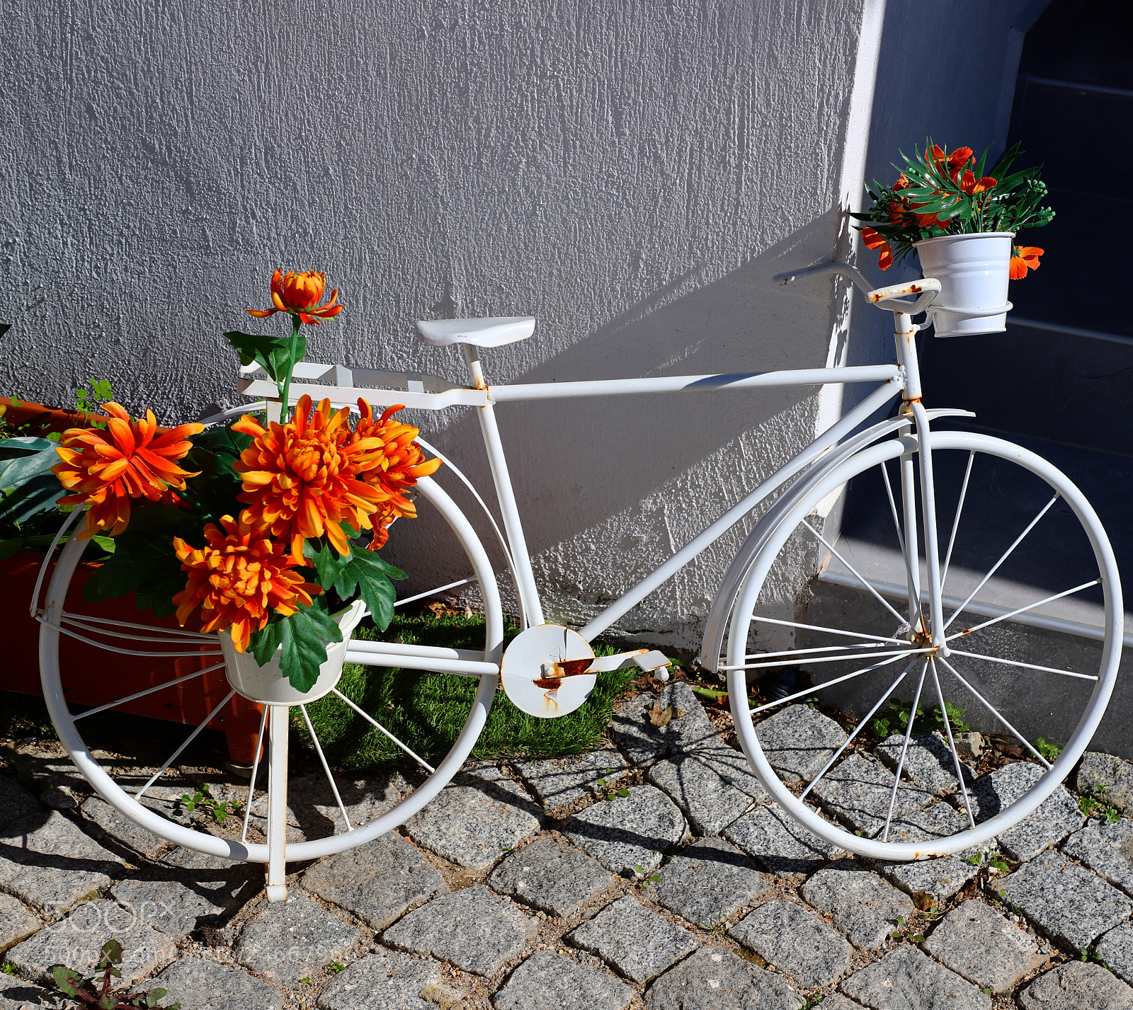Canon EOS 6D Mark II sample photo. Untitled photography
