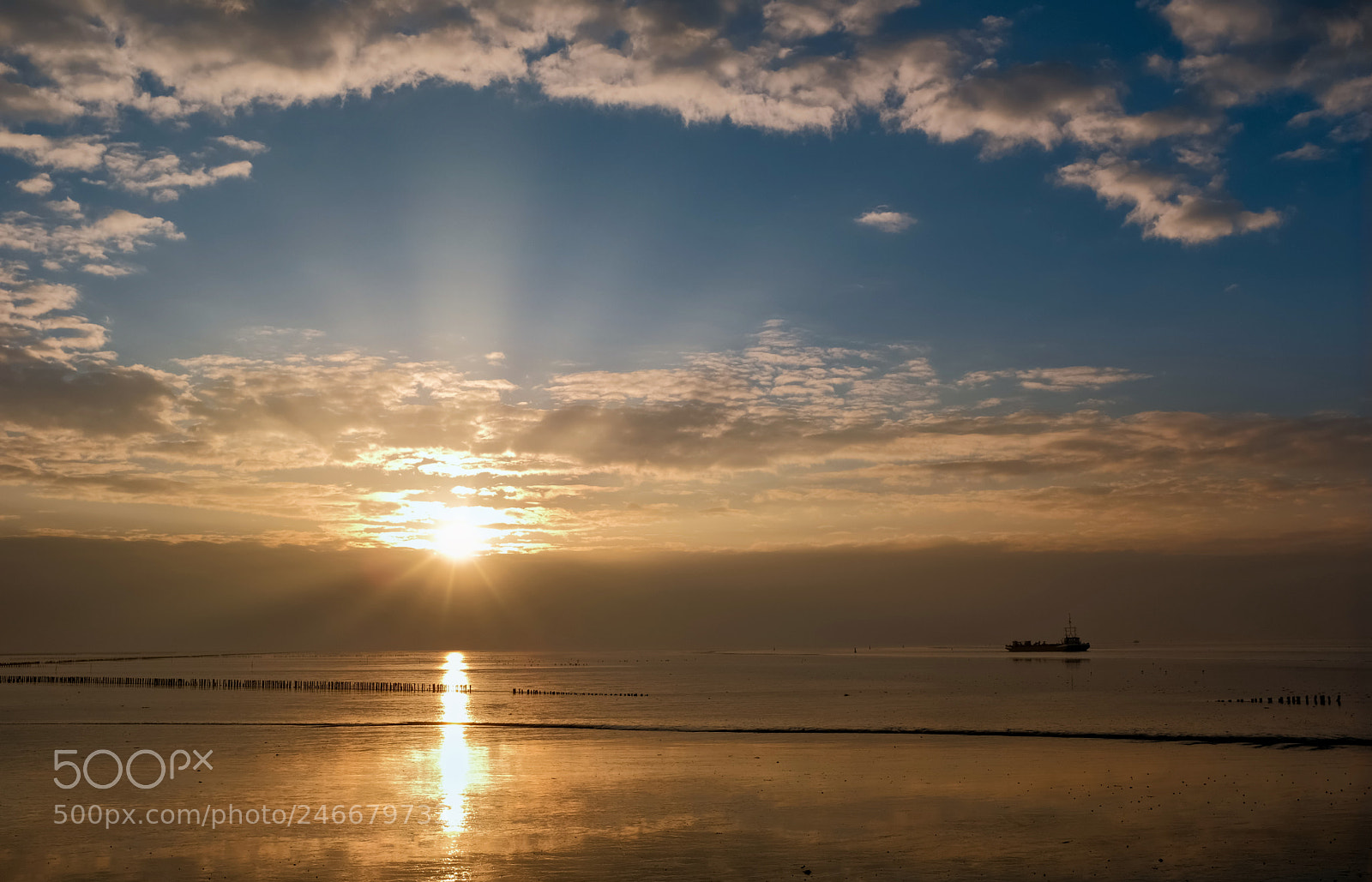 Fujifilm X100F sample photo. Sunshine... photography