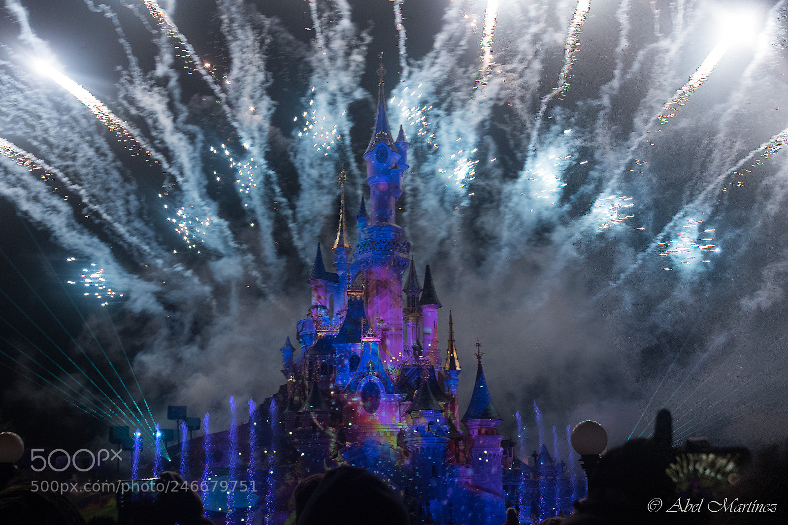 Nikon D810 sample photo. Disneyland photography