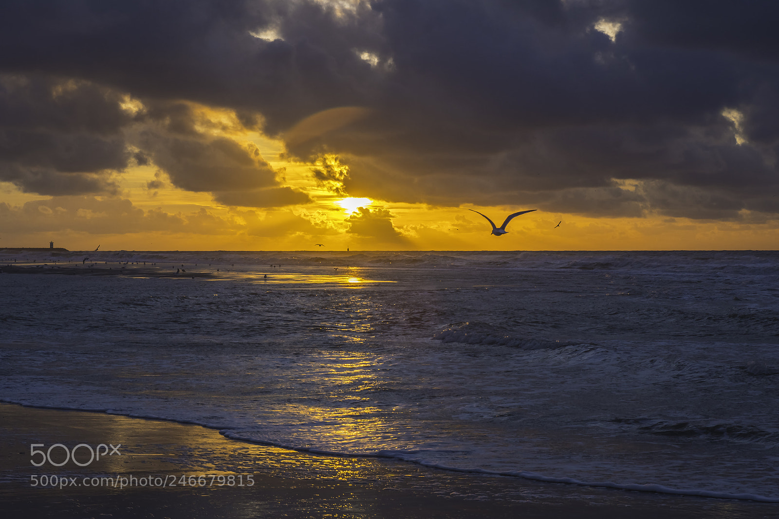 Nikon D500 sample photo. Zonsondergang in scheveningen photography