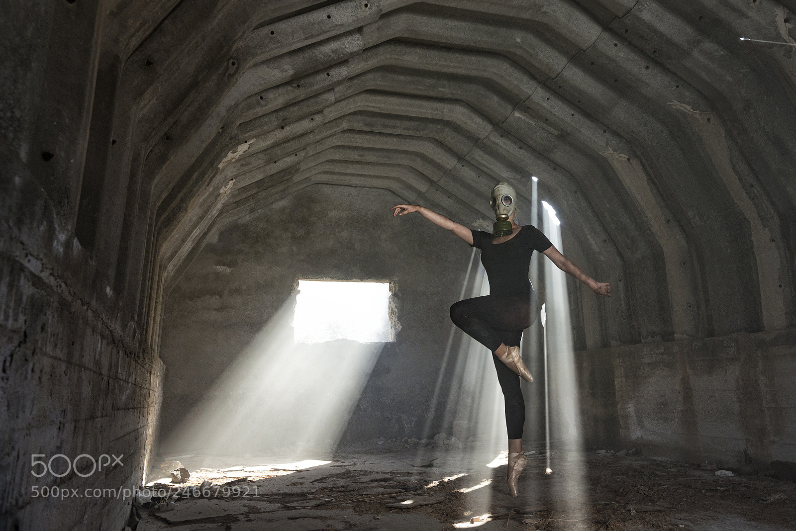 Nikon D610 sample photo. Toxic breath photography