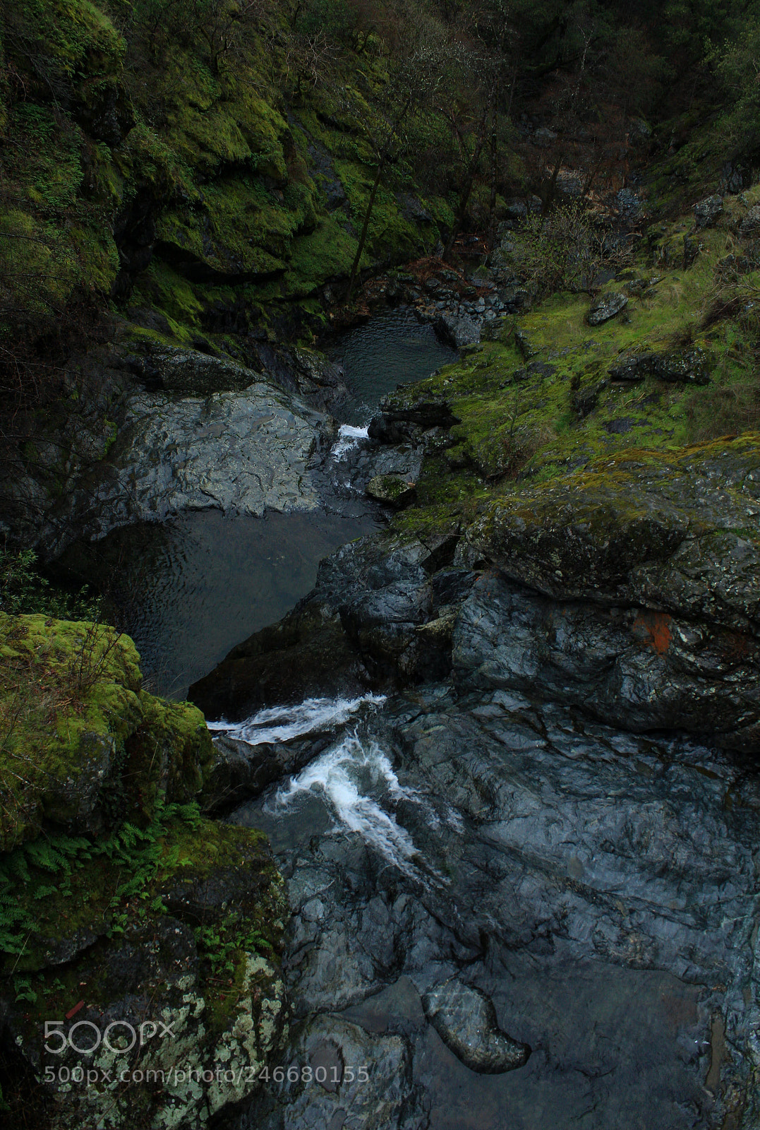 Canon EOS 1300D (EOS Rebel T6 / EOS Kiss X80) sample photo. River in the forest photography