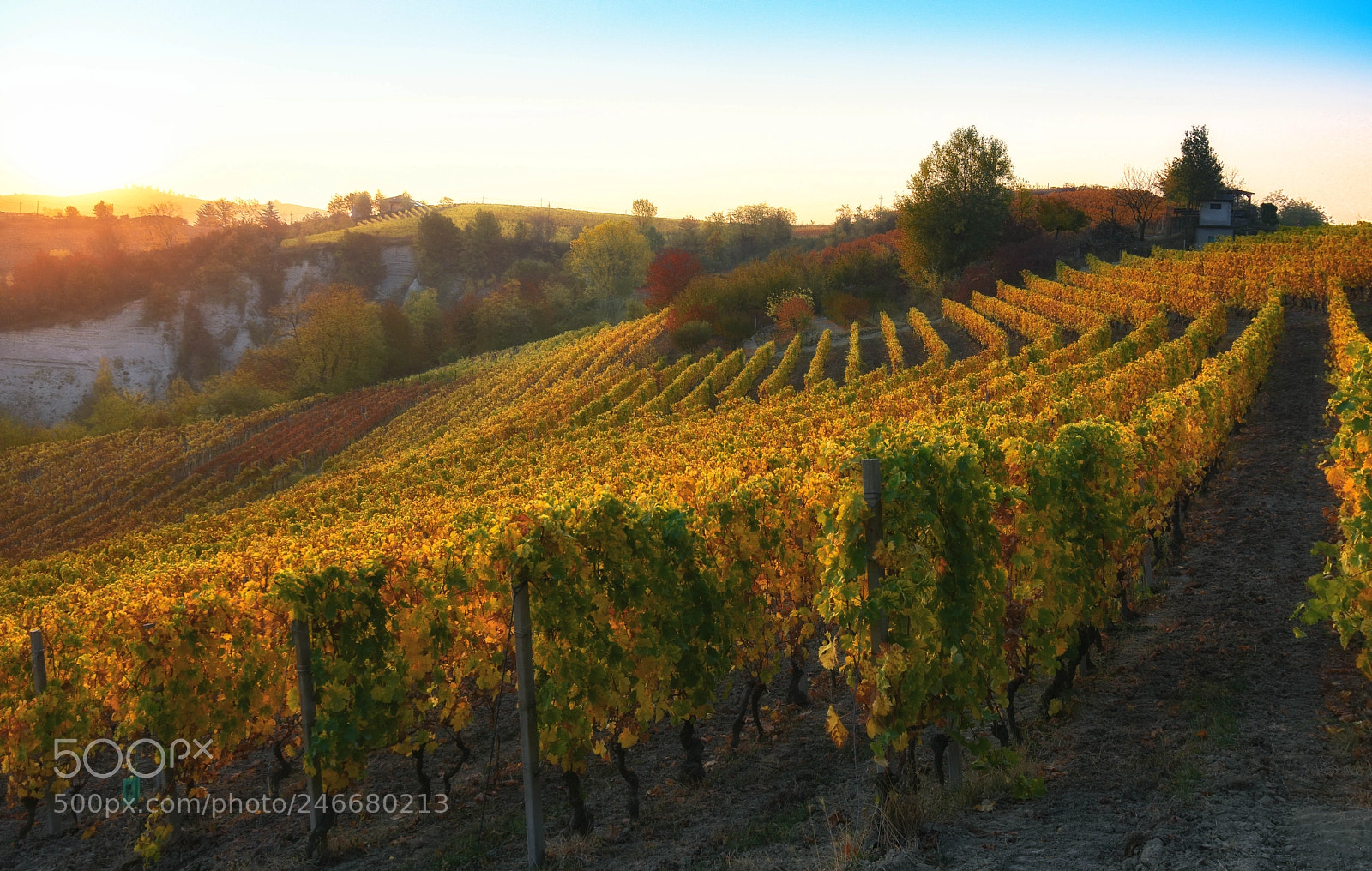 Nikon D7200 sample photo. Autumn memories photography