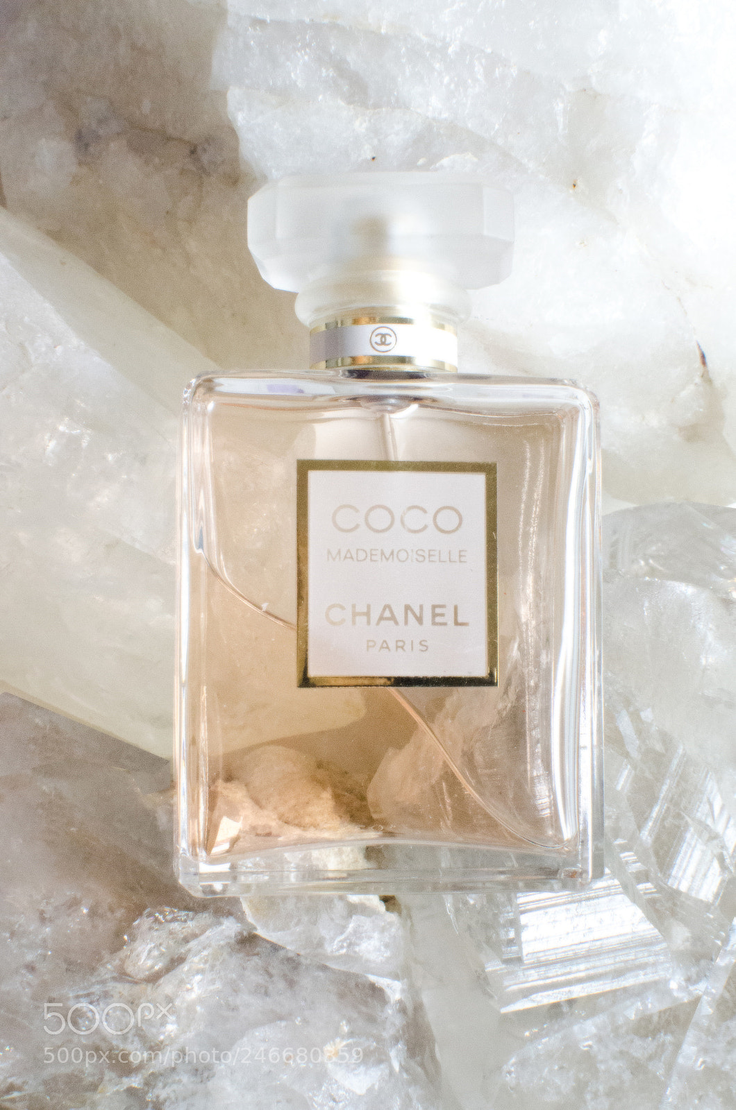 Nikon D5100 sample photo. Coco chanel photography