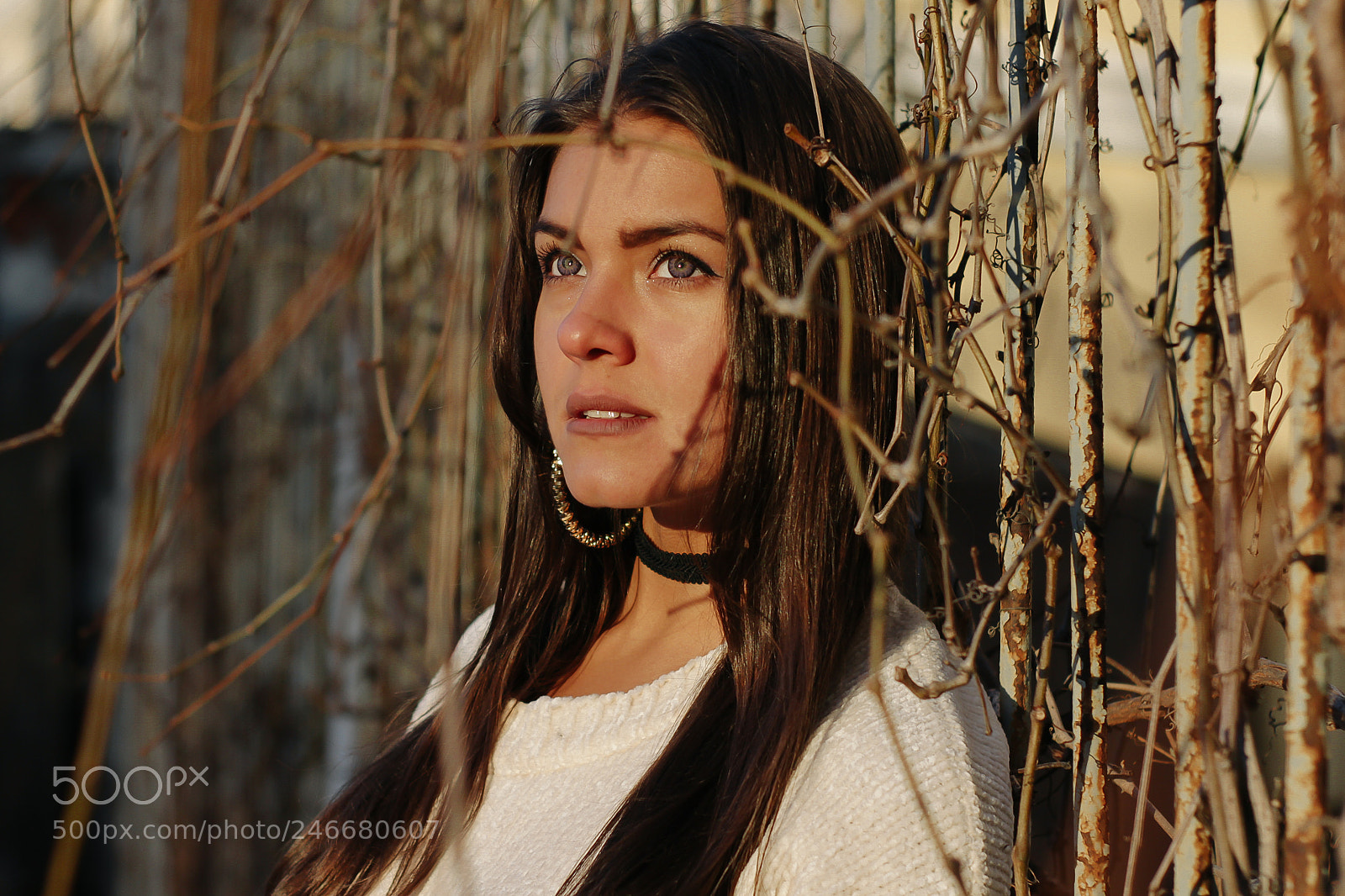 Canon EOS 60D sample photo. Настя photography