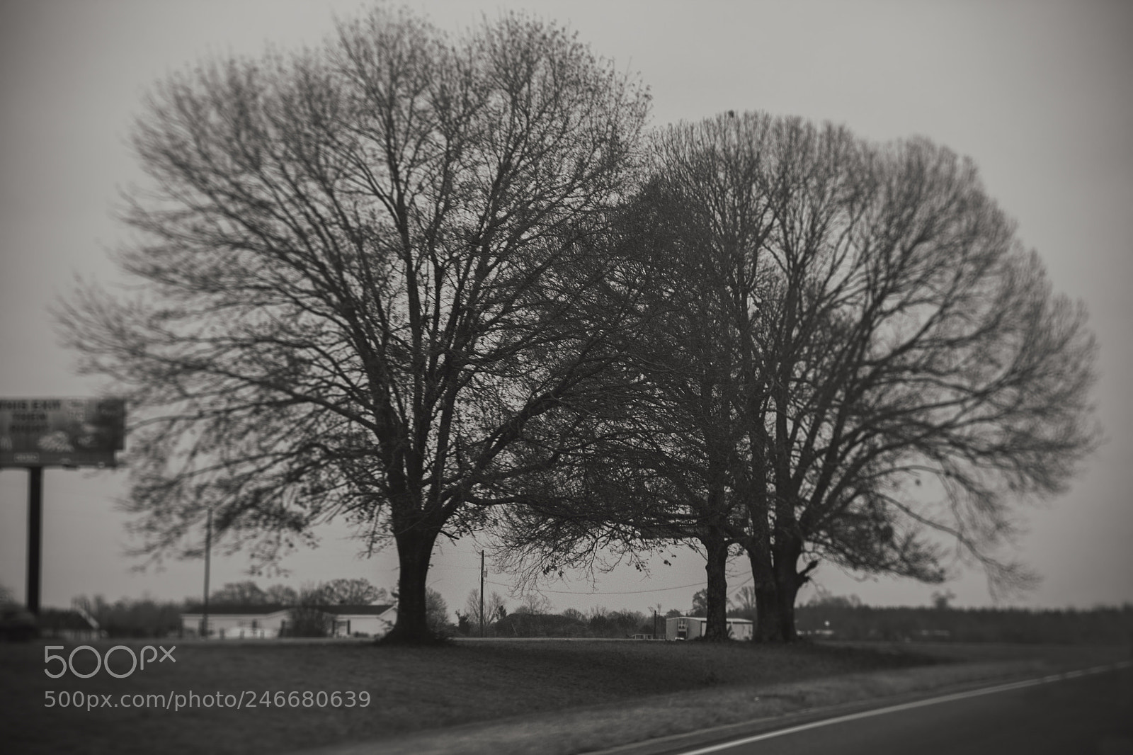 Canon EOS 60D sample photo. I will be back photography