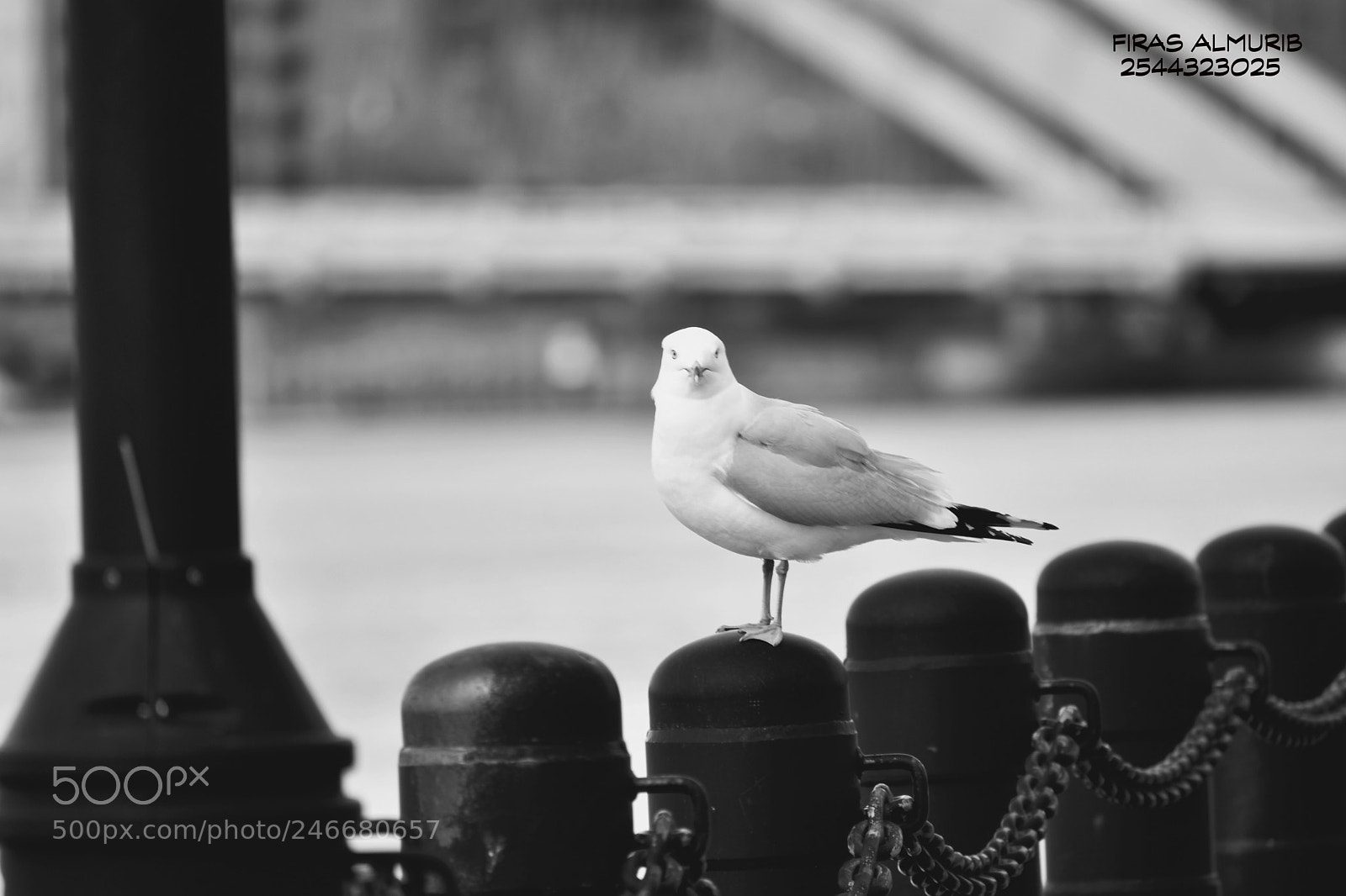 Nikon D3400 sample photo. Untitled photography