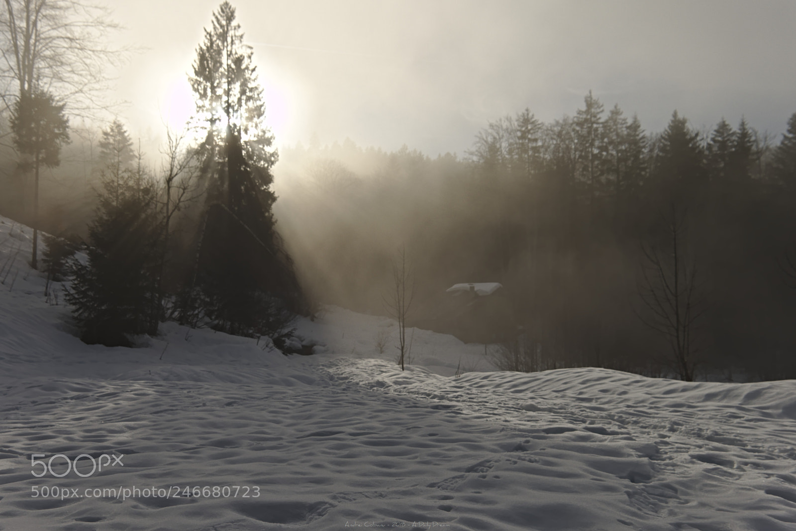 Fujifilm X-T1 sample photo. Freedom photography
