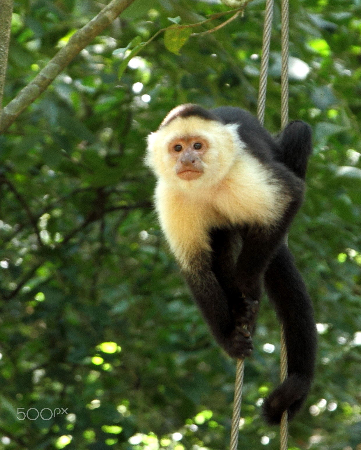 Canon EOS 7D sample photo. Hanging around photography