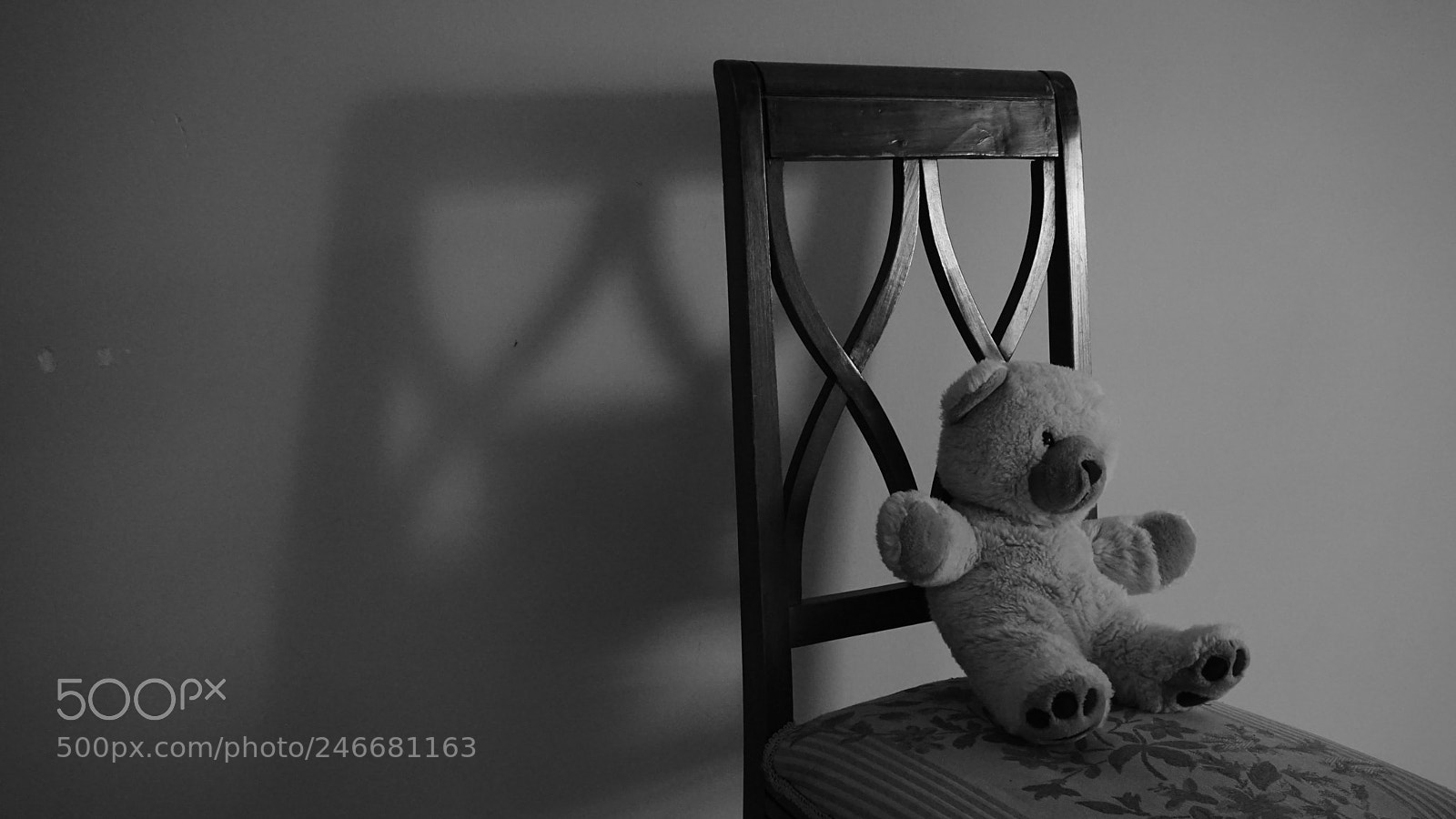 Sony a6000 + Sony E 18-50mm F4-5.6 sample photo. Soft bear photography