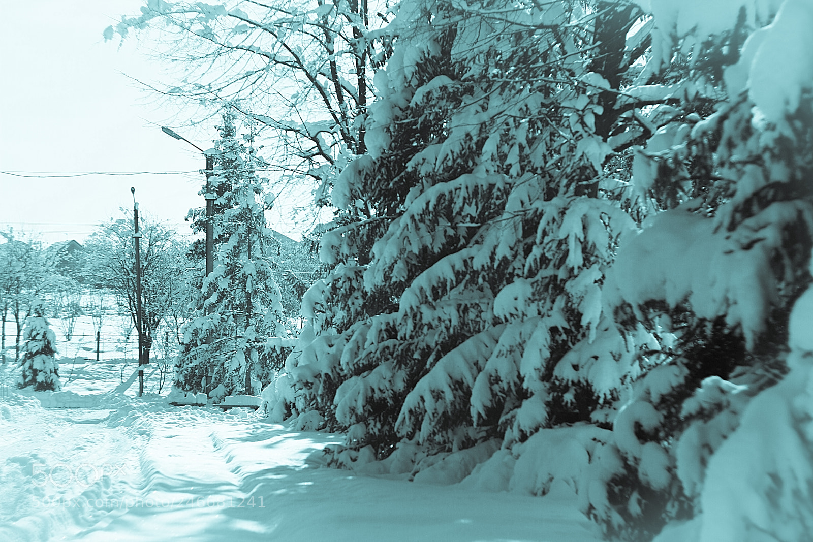 Canon EOS 7D sample photo. Finally winter came 6 photography