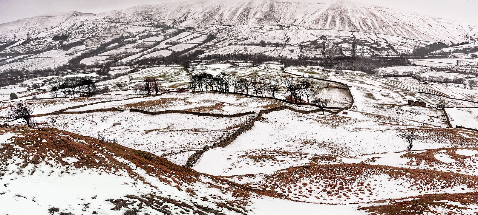 Nikon D810 sample photo. Winter fields photography