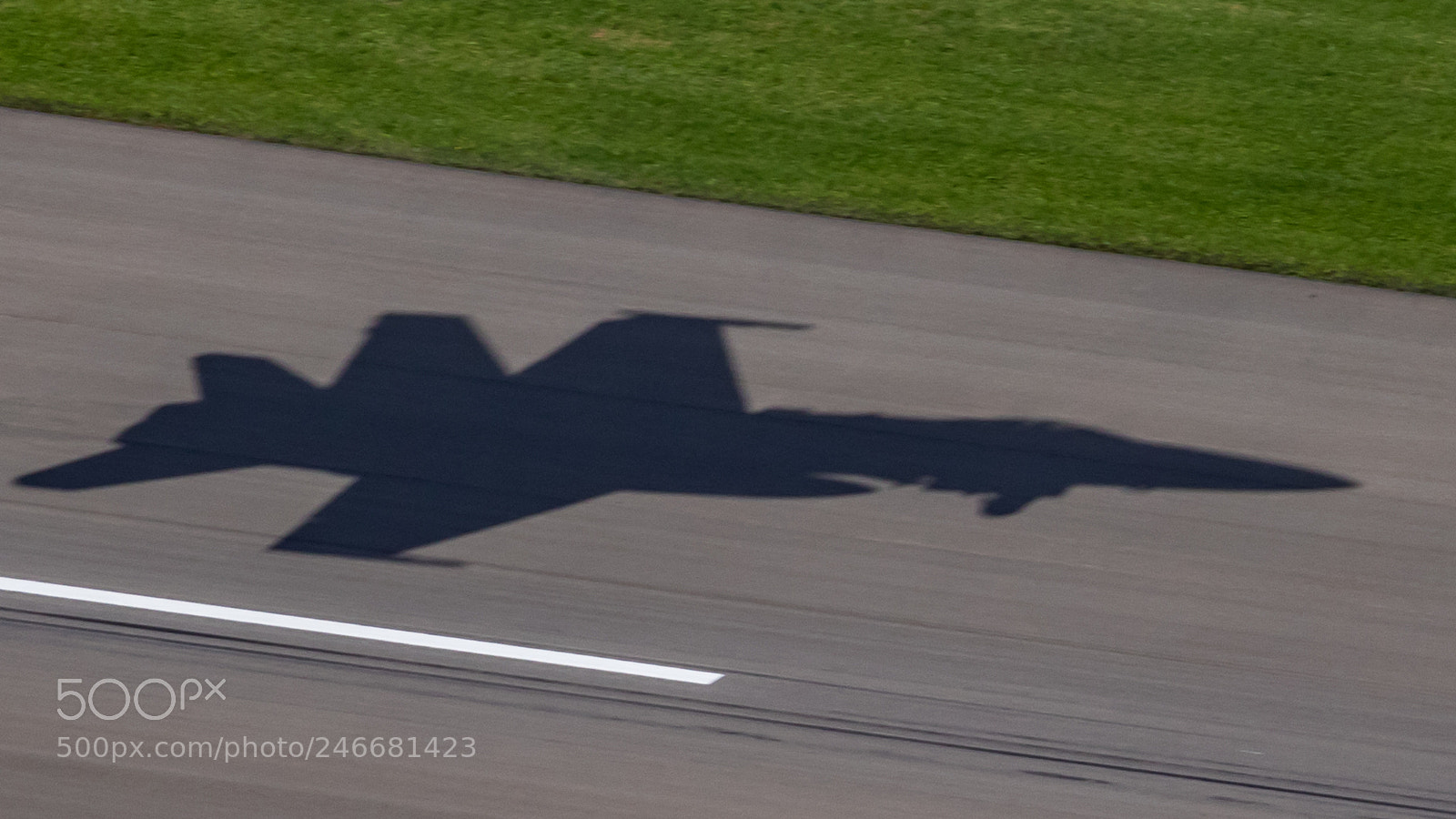 Canon EOS 7D Mark II sample photo. Swiss hornet shadow photography