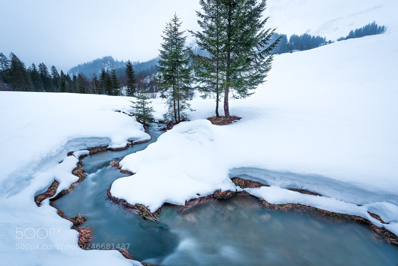 Nikon D810 sample photo. Almost spring photography