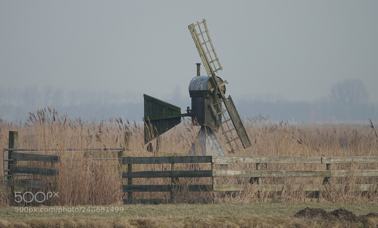 Sony Cyber-shot DSC-RX10 III sample photo. Beautiful landscape in eilandspolder photography