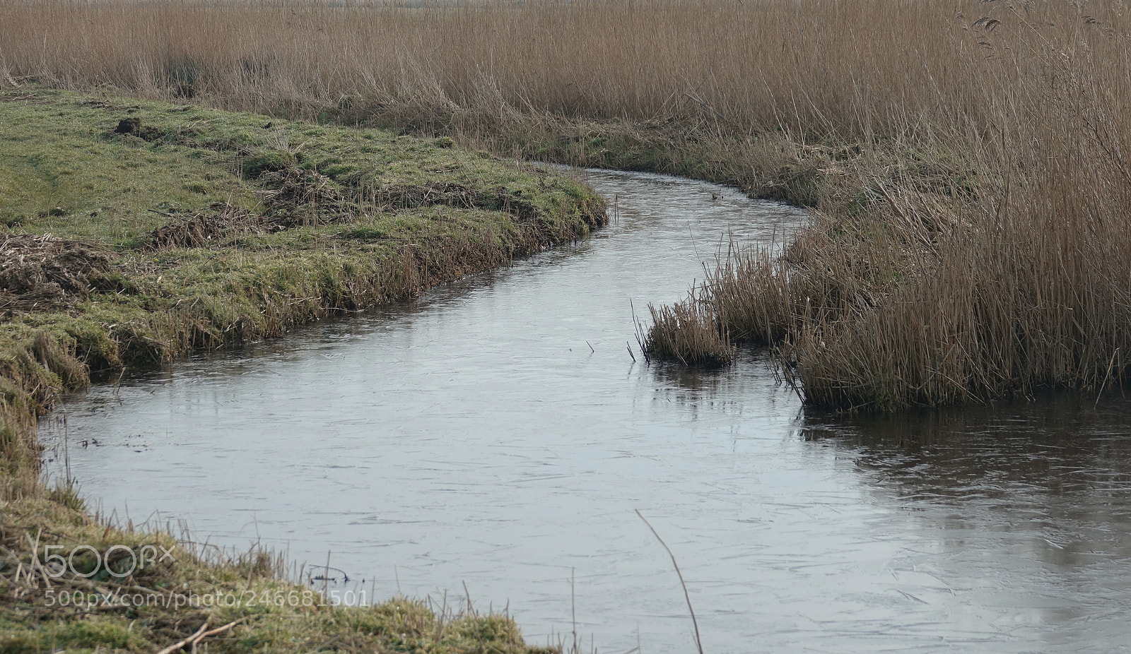Sony Cyber-shot DSC-RX10 III sample photo. Beautiful landscape in eilandspolder photography