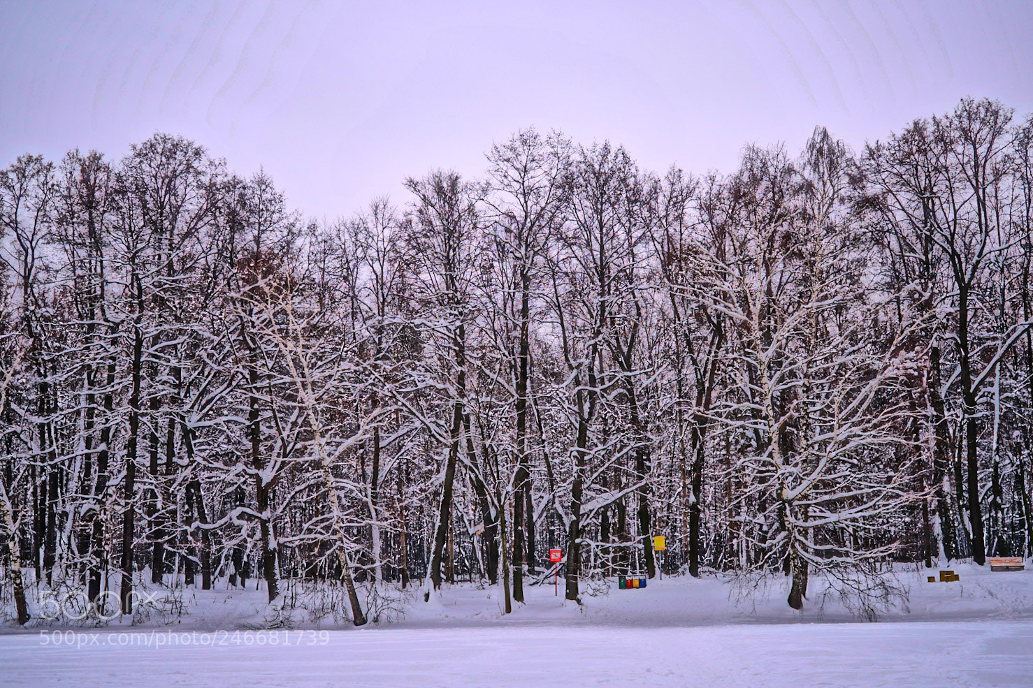 Sony a7 sample photo. Moscow winter. photography