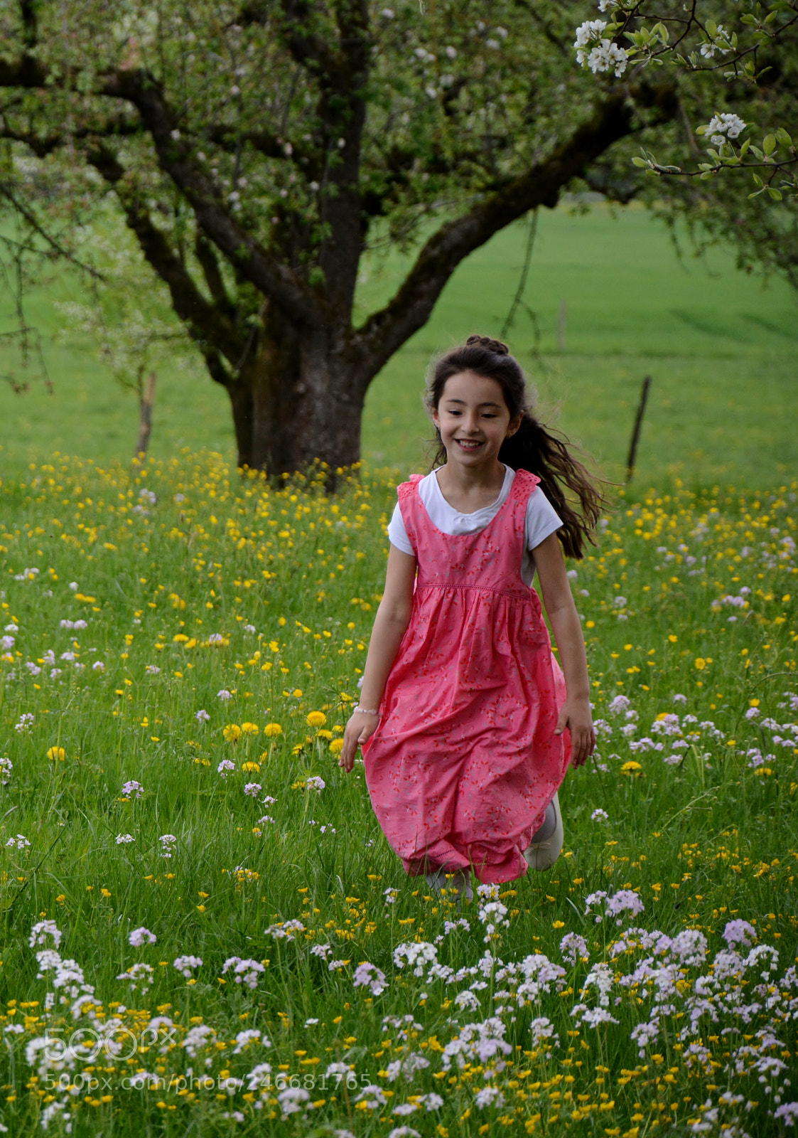 Nikon D7100 sample photo. Girl in flower meadow photography
