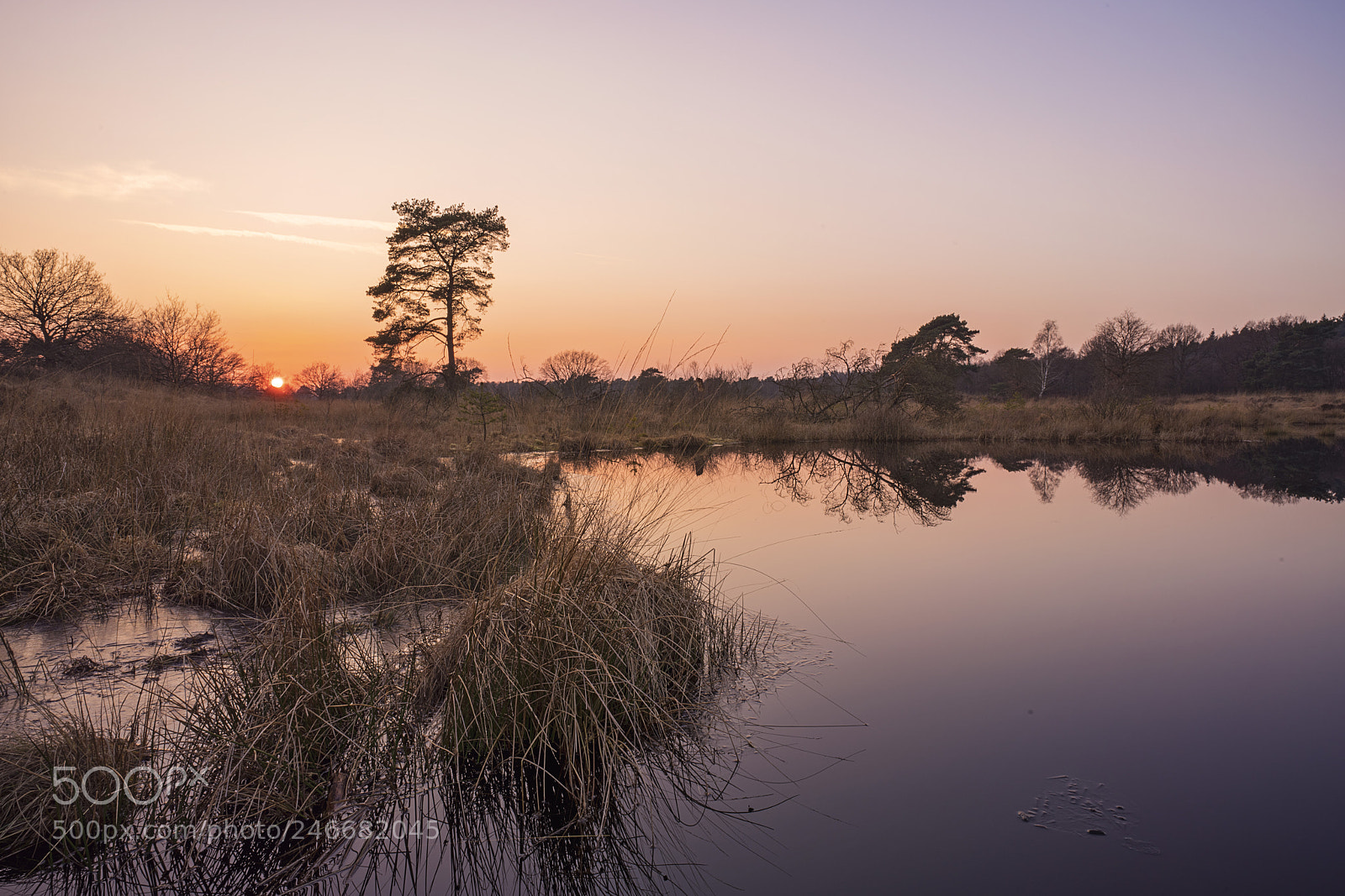 Sony a7R II sample photo. National park de meinweg photography