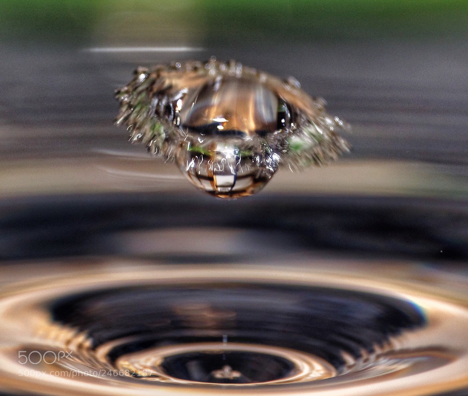 Canon EOS 200D (EOS Rebel SL2 / EOS Kiss X9) sample photo. Drop of water photography