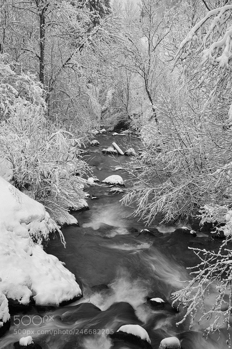 Nikon D850 sample photo. Winter fairy tale -iii photography