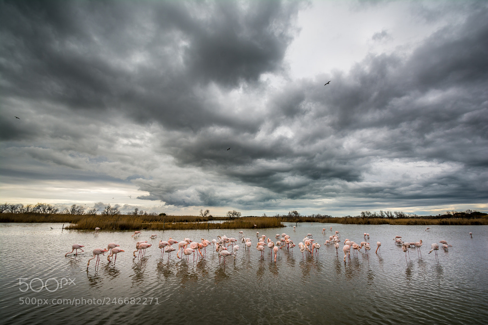 Nikon D7100 sample photo. Apr s l'orage sur photography