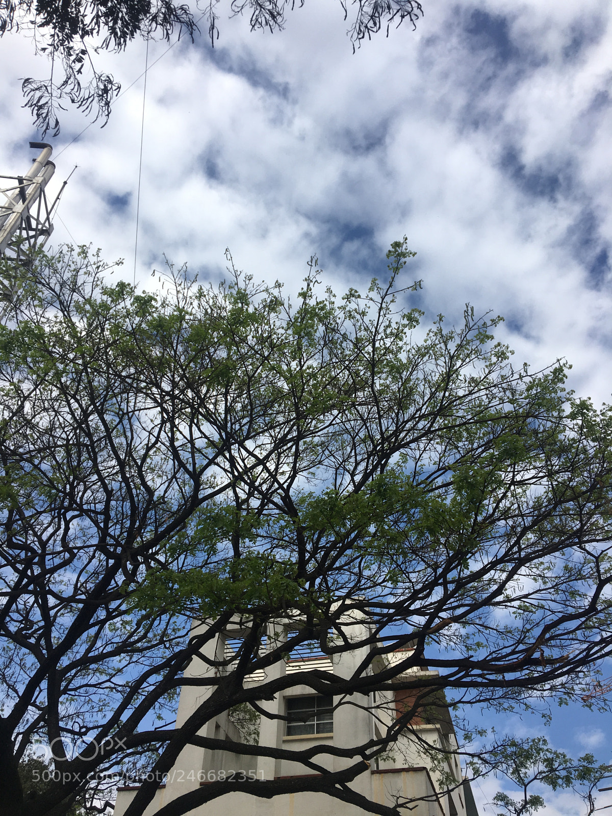 Apple iPhone 6s sample photo. The heaven we live photography