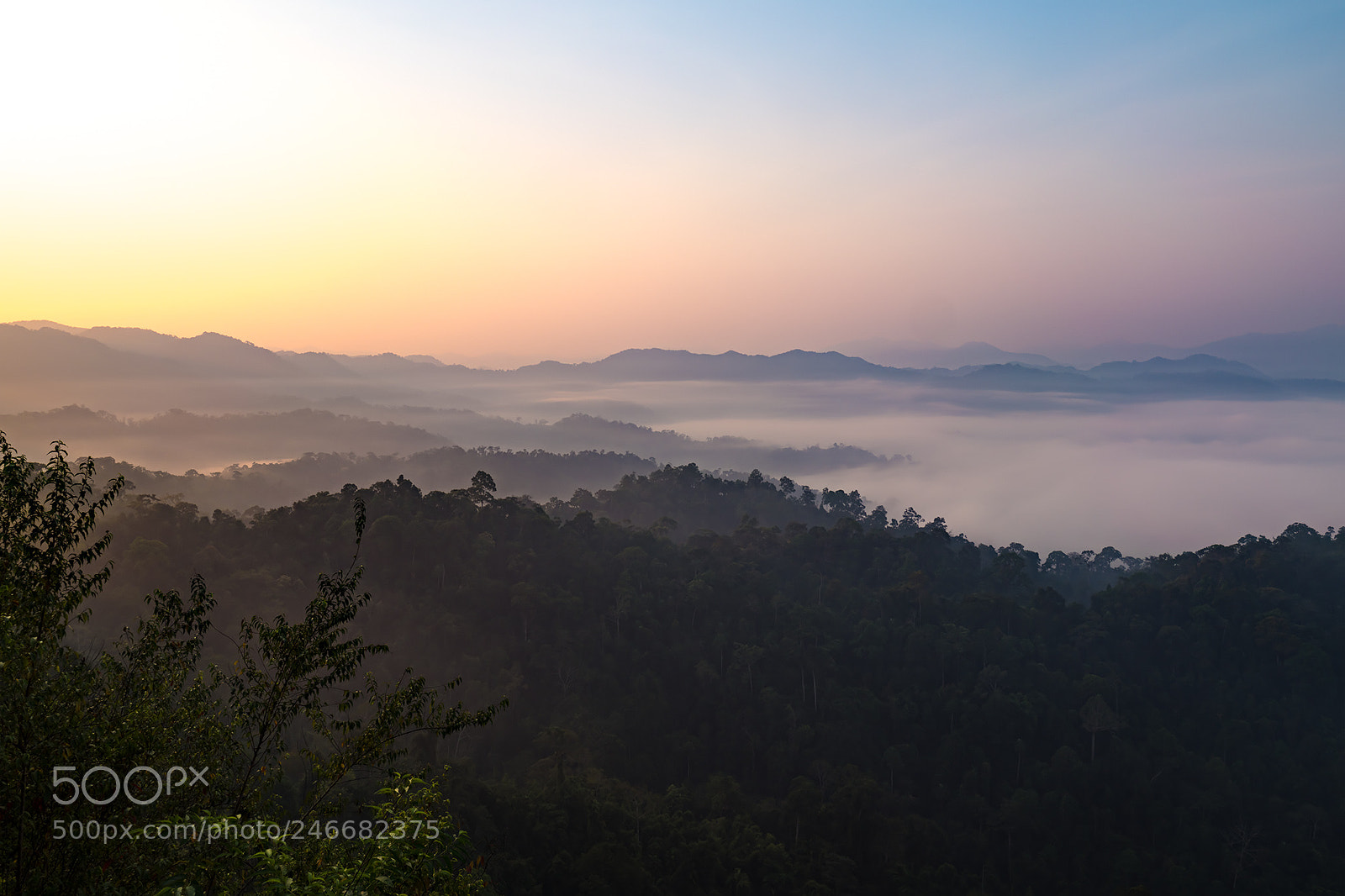 Olympus OM-D E-M1 Mark II sample photo. Sunrise in thailand rainforest photography