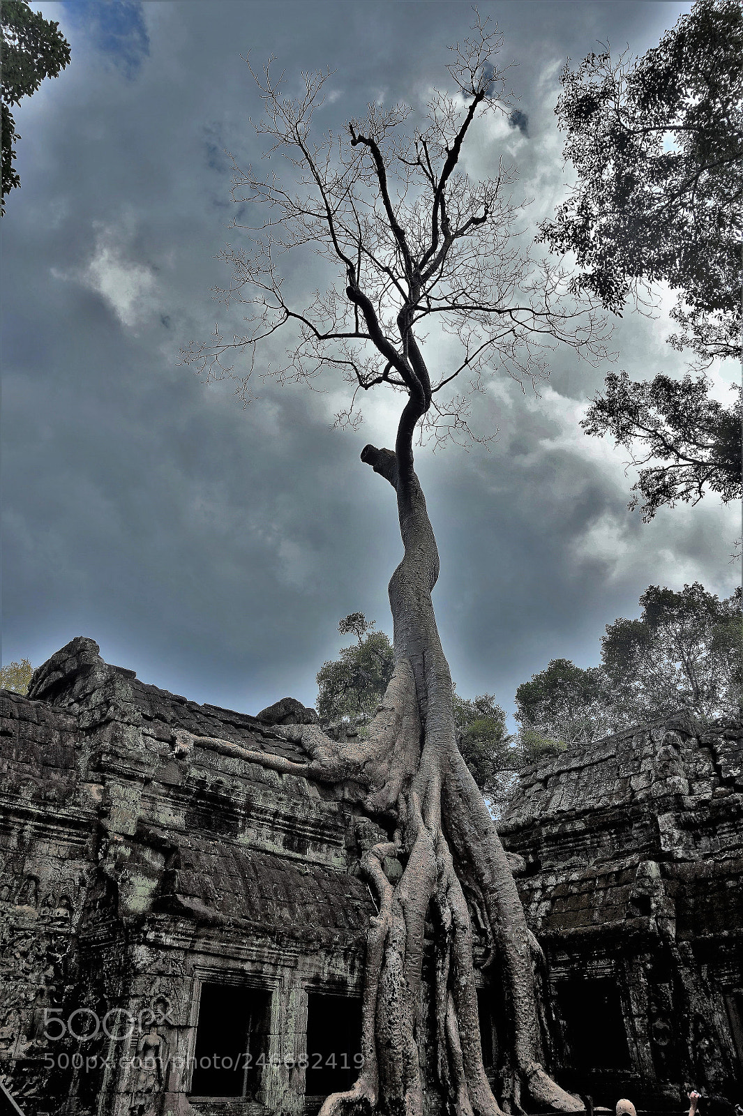 Sony Alpha a5000 (ILCE 5000) sample photo. Nature destroying power photography