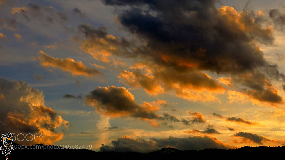 Canon PowerShot G15 sample photo. • oo12 photography