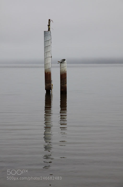 Canon EOS 50D sample photo. Lake quinalt, washington photography