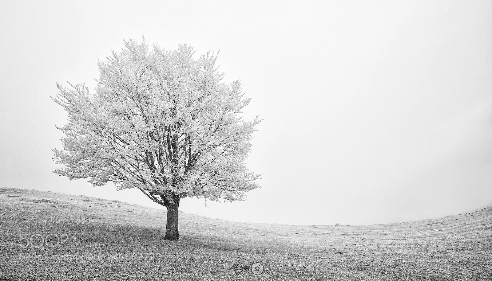 Canon EOS 60D sample photo. Frozen world photography