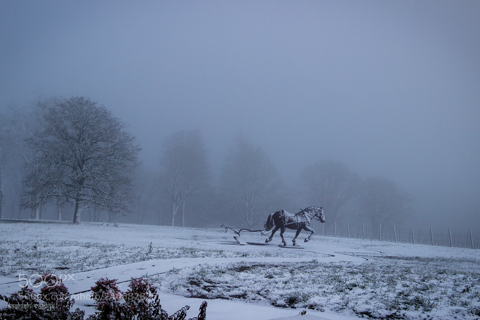 Canon EOS 600D (Rebel EOS T3i / EOS Kiss X5) sample photo. Whiteout photography
