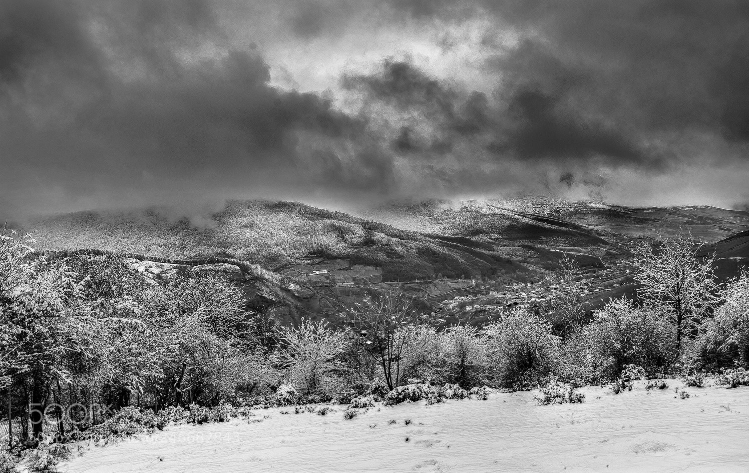 Nikon D7100 sample photo. White land photography