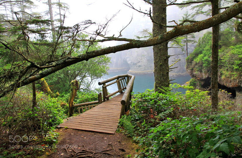 Canon EOS 50D sample photo. Cape flattery photography