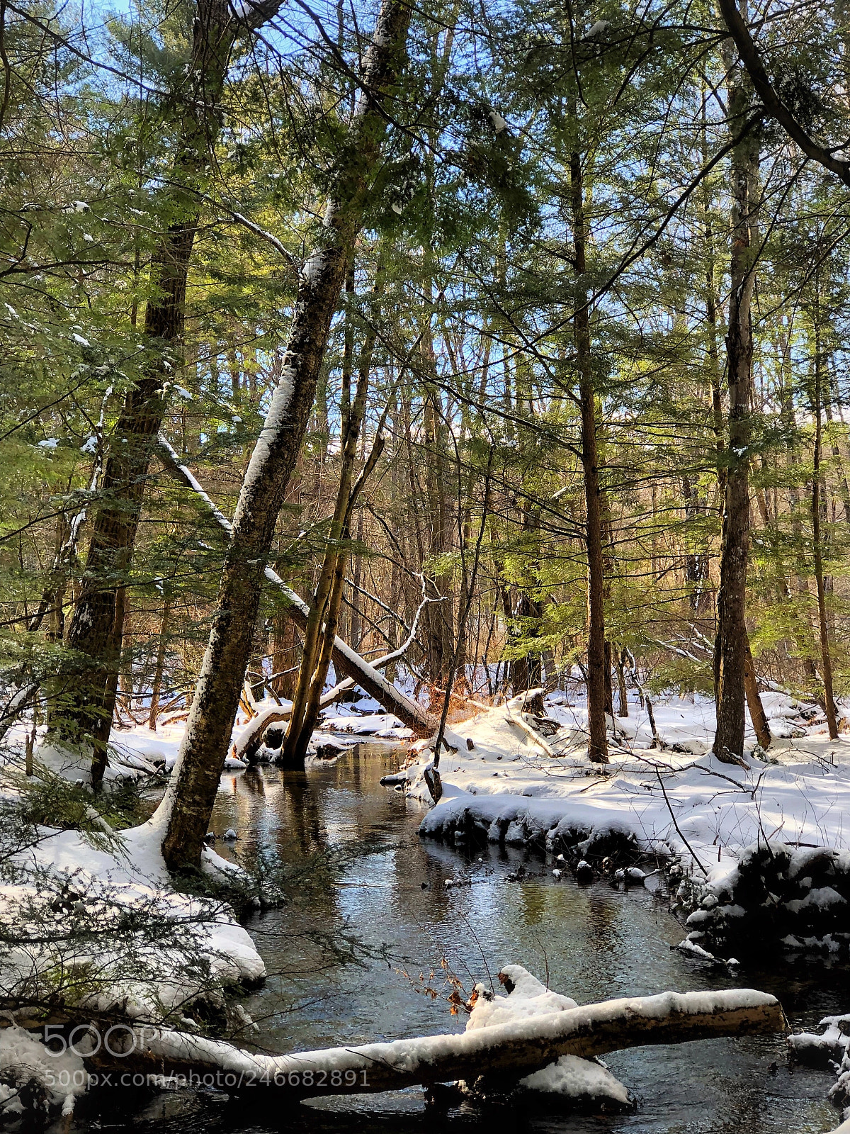 Apple iPhone 8 Plus sample photo. February adventures  photography