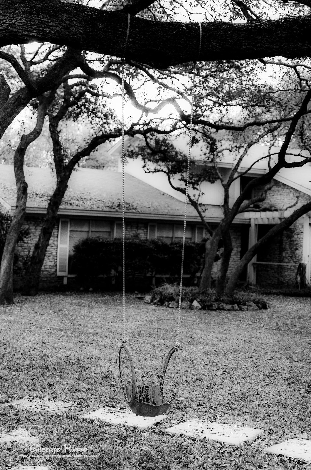 Nikon D5100 sample photo. Se balancer dans la photography