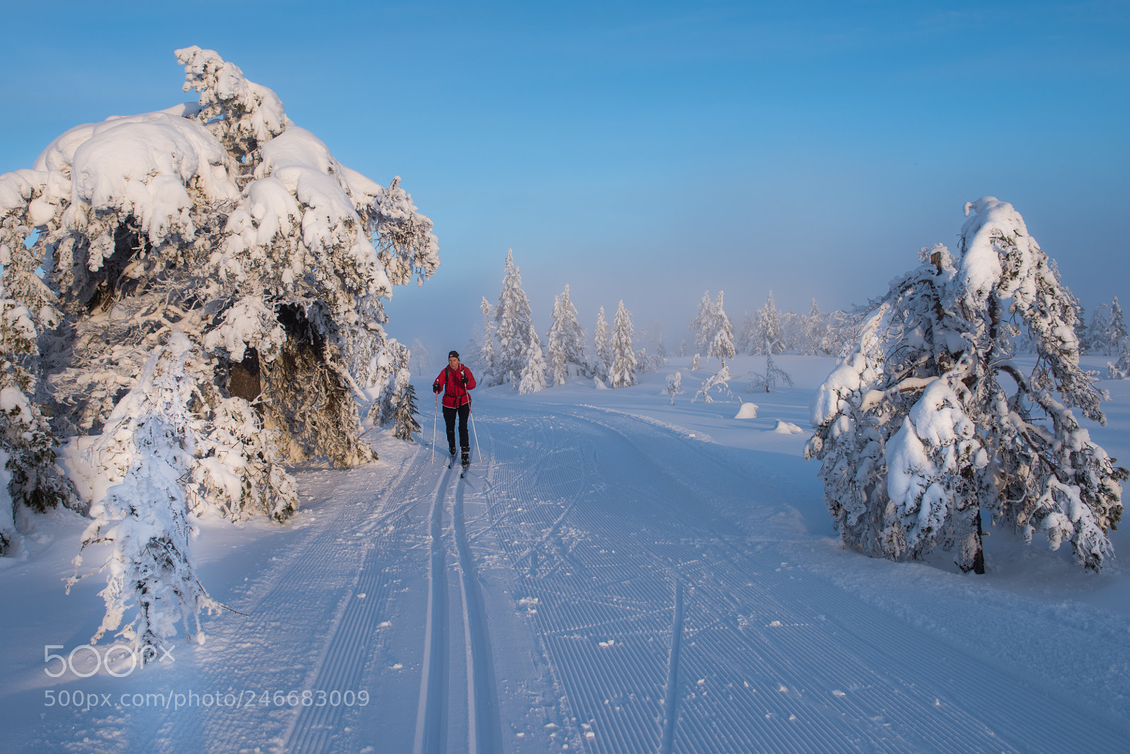 Nikon D810 sample photo. Frozen land photography