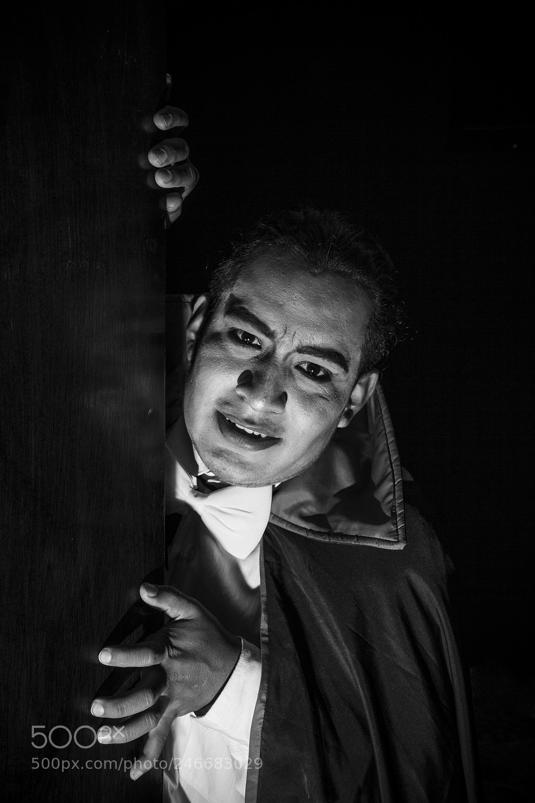 Canon EOS 60D sample photo. Drácula photography
