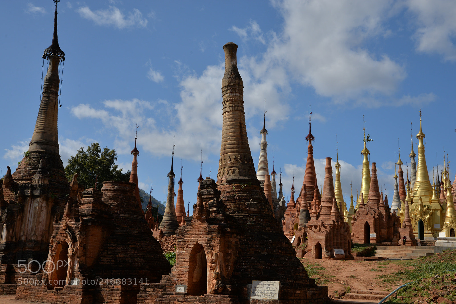 Nikon D610 sample photo. Multitude /6436 photography