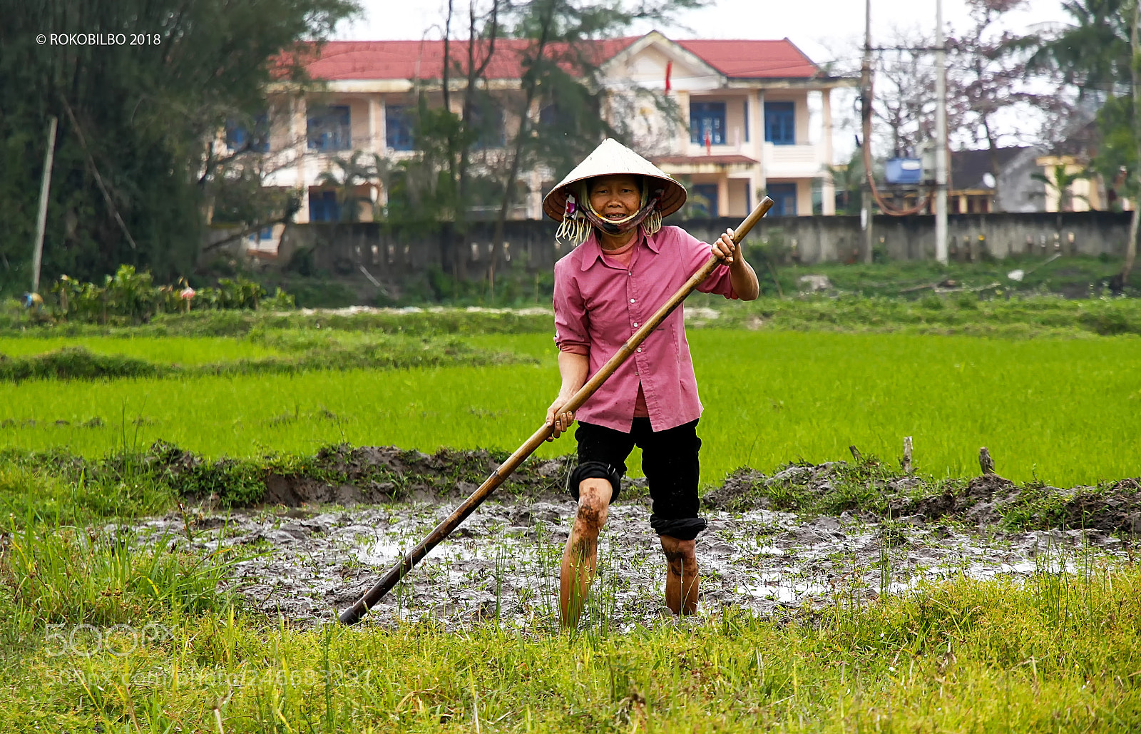 Canon EOS 50D sample photo. Vietnamese rice fields photography