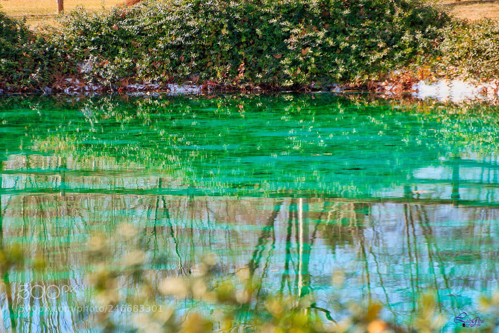 Canon EOS 750D (EOS Rebel T6i / EOS Kiss X8i) sample photo. Verde photography