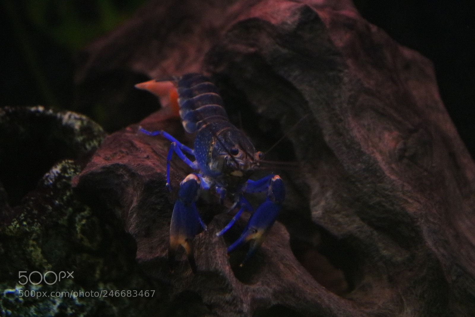 Canon EOS 750D (EOS Rebel T6i / EOS Kiss X8i) sample photo. Untitled photography