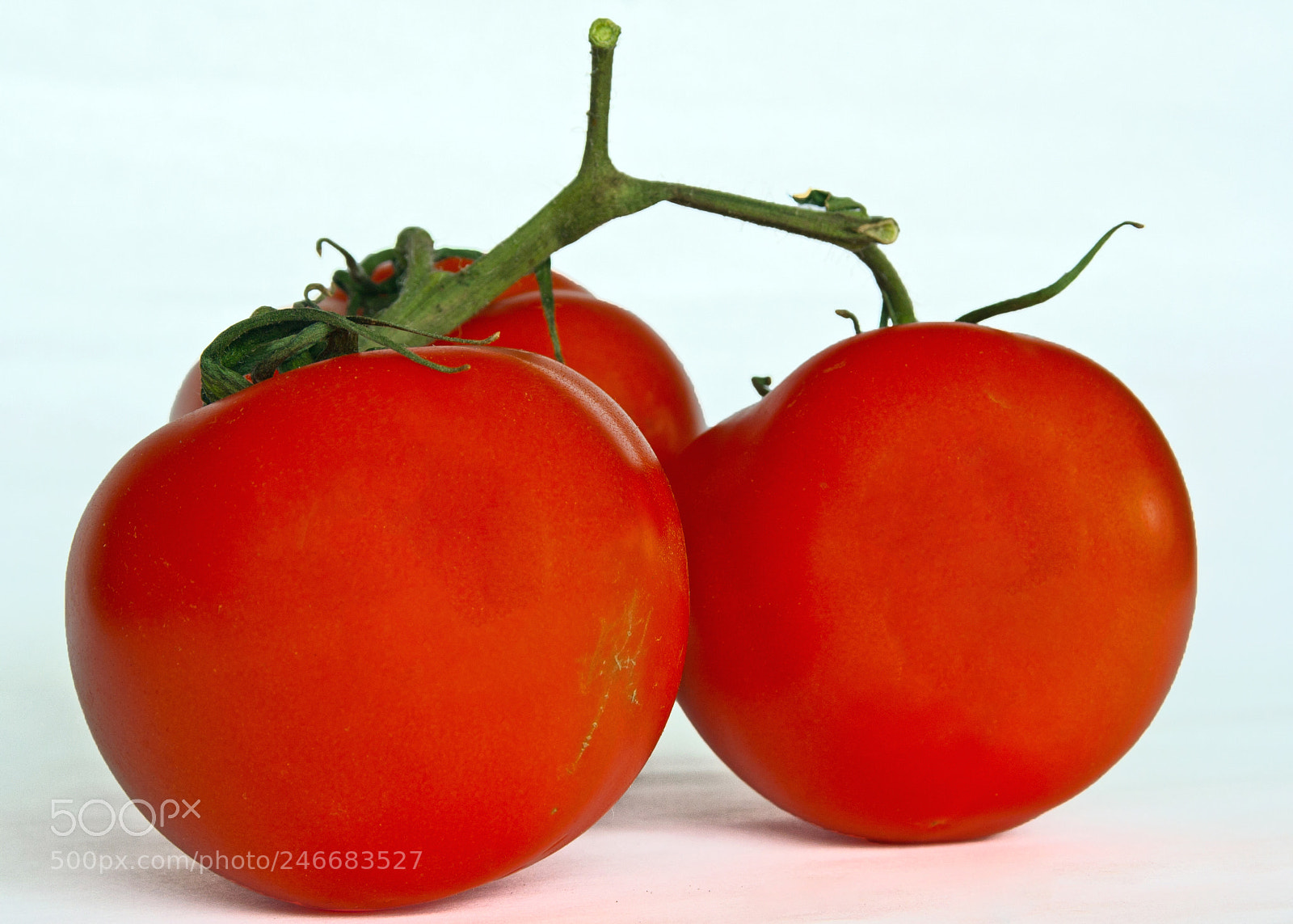 Canon EOS 1000D (EOS Digital Rebel XS / EOS Kiss F) sample photo. Tomatoes photography