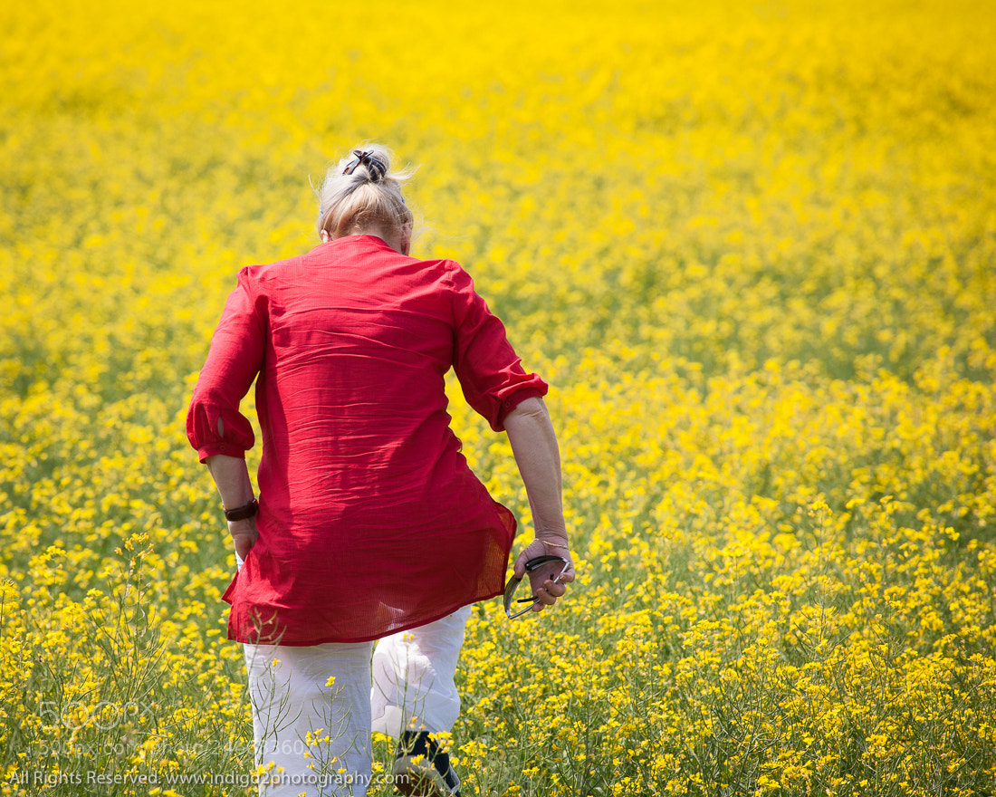 Canon EOS 5D sample photo. Stepping into colour photography