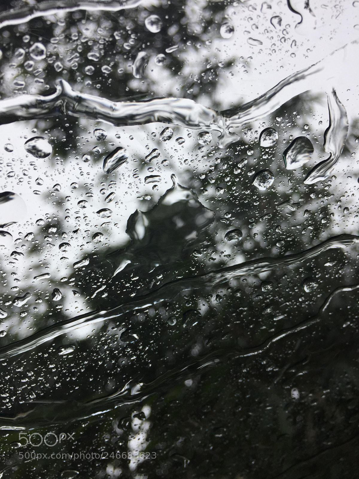 Apple iPhone 6 sample photo. Untitled photography
