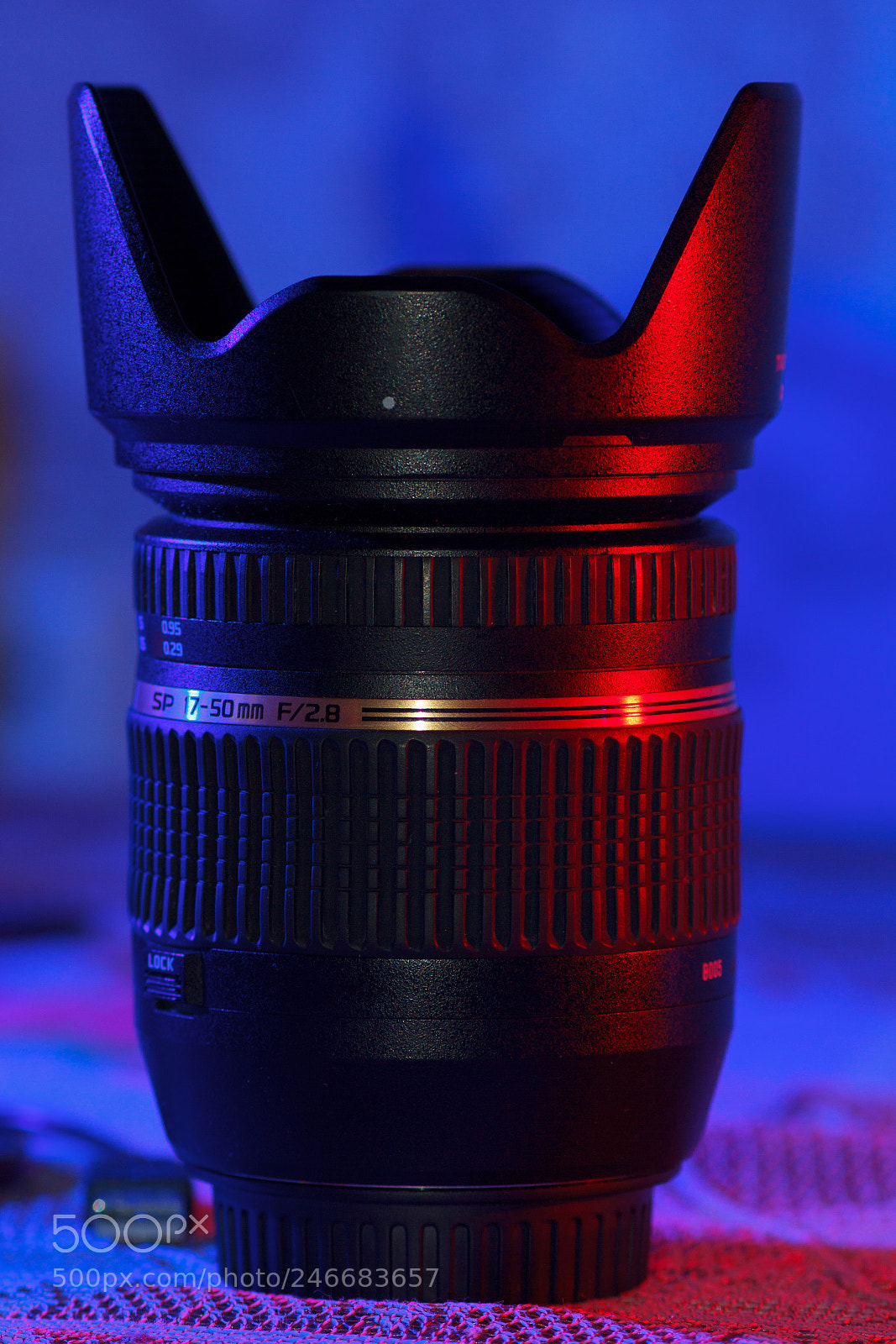 Canon EOS 60D sample photo. Tamron 17-50 photography