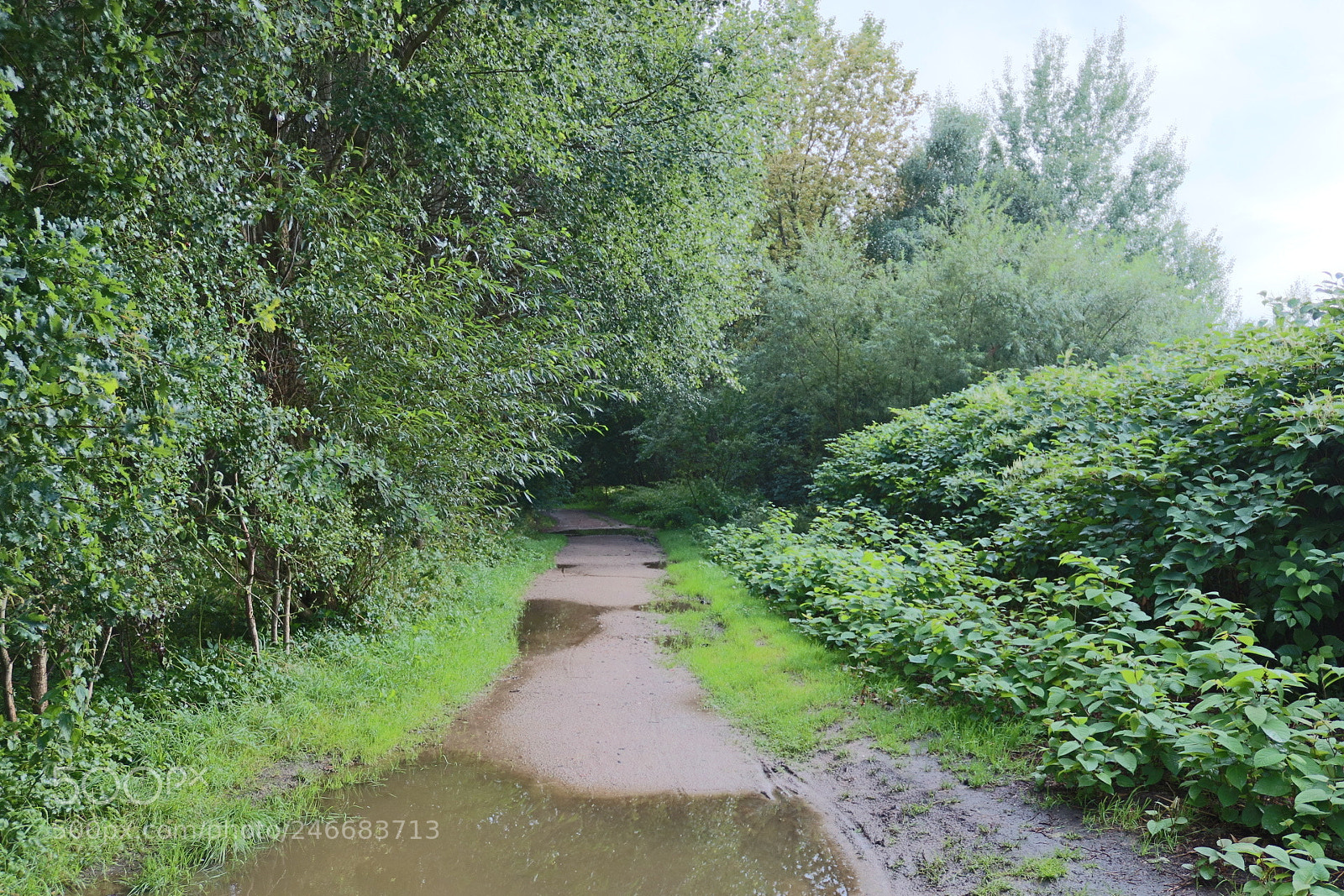Canon EOS 750D (EOS Rebel T6i / EOS Kiss X8i) sample photo. Untitled photography